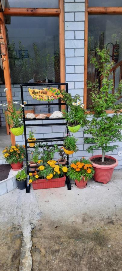 God'S Land Bed & Breakfast Manāli Exterior foto